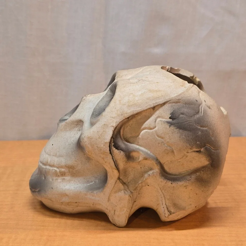 Plastic Human Skull Small 5